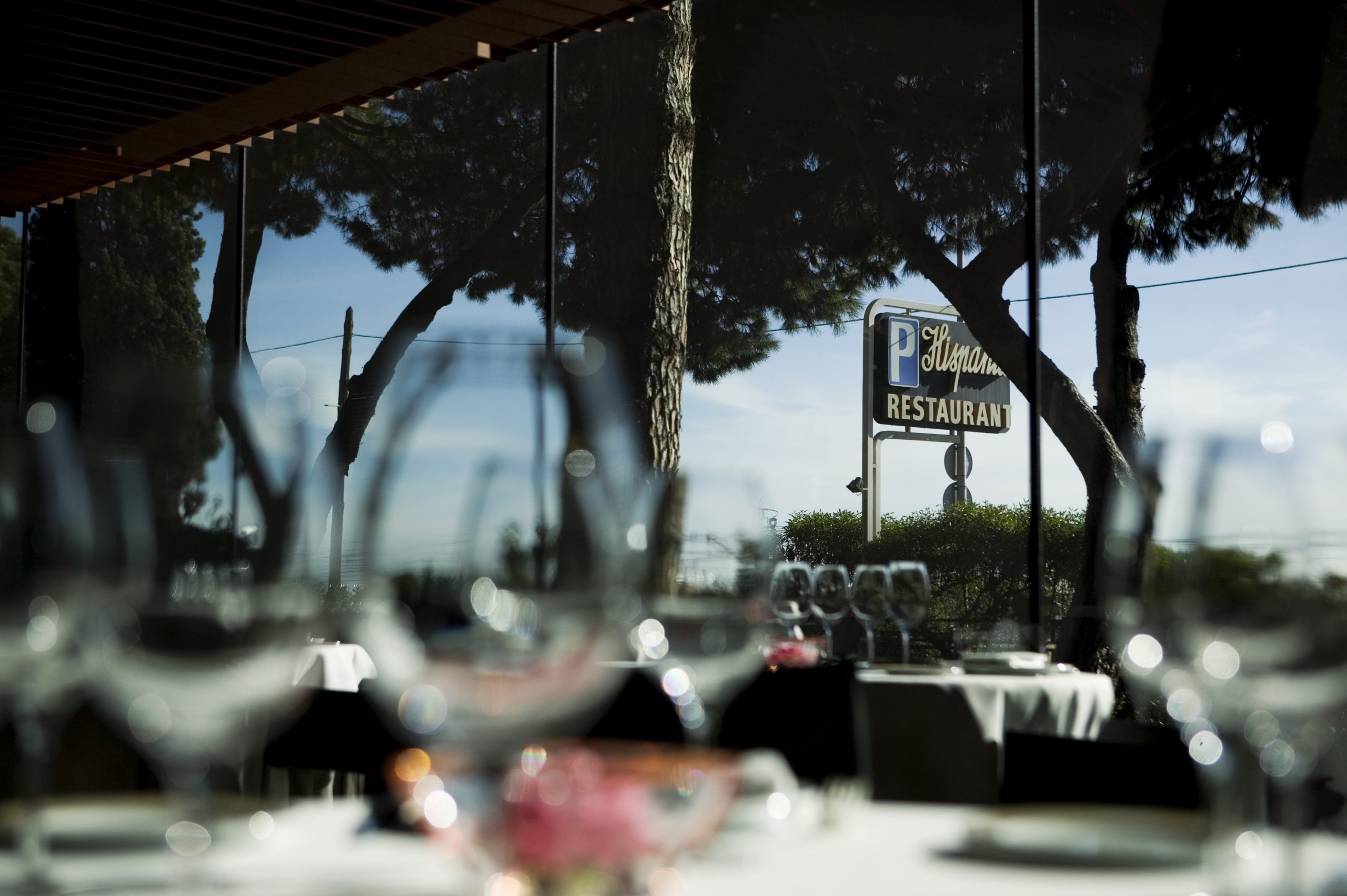 Copas de vino y vista al jardín de Hispania